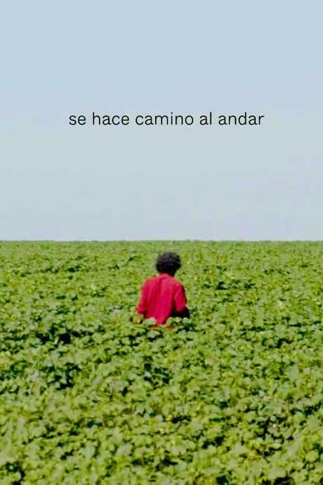 The Path is Made by Walking
